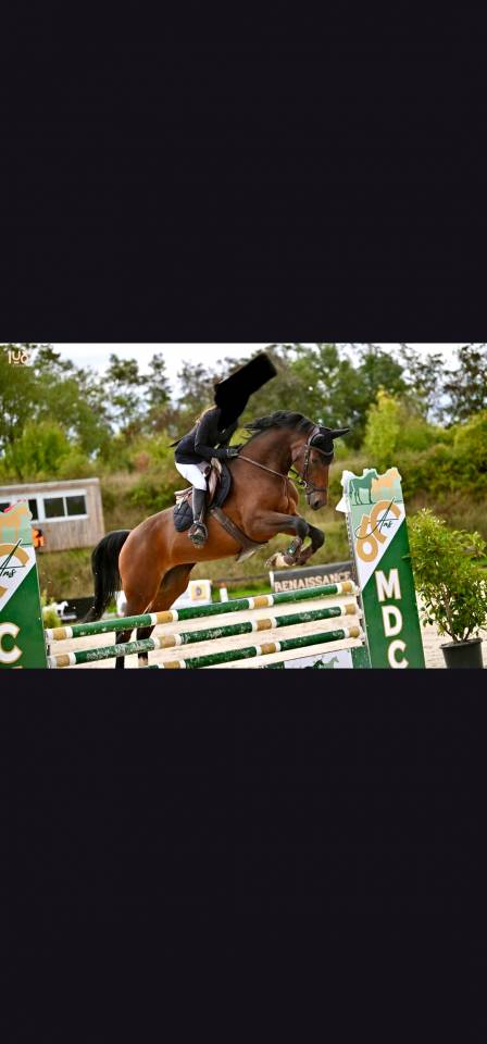 Jument CSO