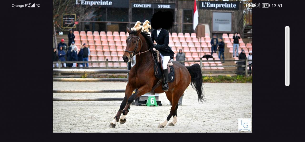 Jument CSO