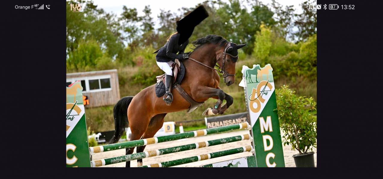 Jument CSO