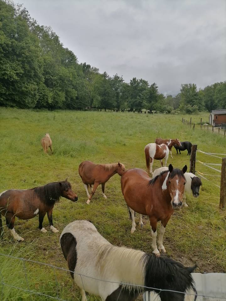 Pension au pr&eacute; 