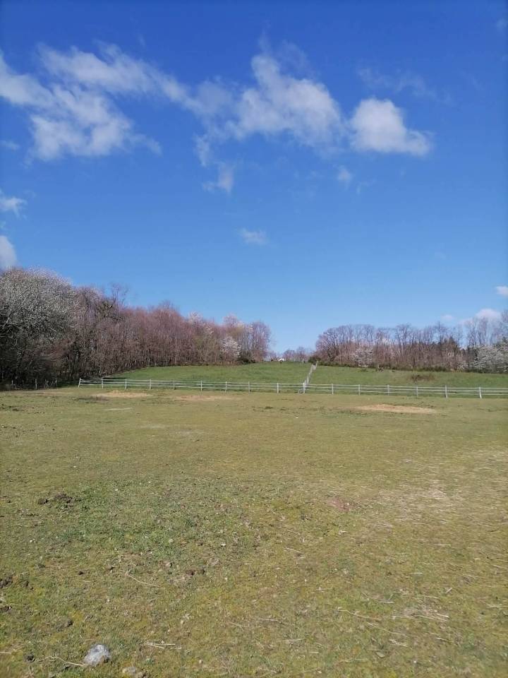 Pension au pr&eacute; 