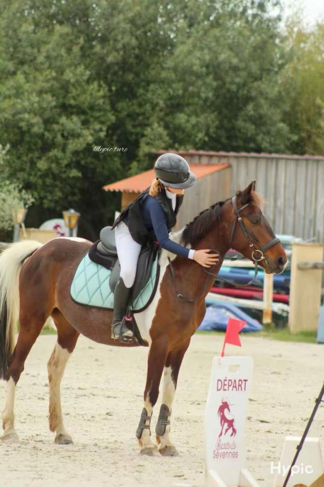 Ponette de sport ma&icirc;tre d&rsquo;&eacute;cole 