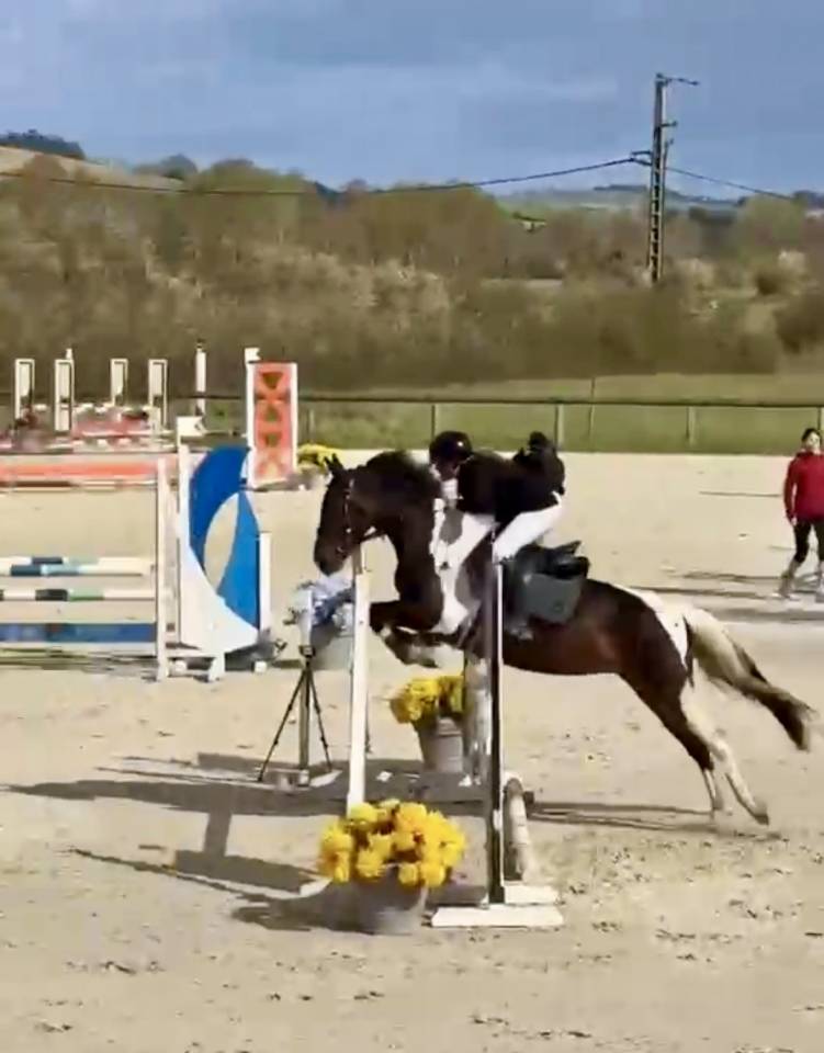 Ponette de sport ma&icirc;tre d&rsquo;&eacute;cole 