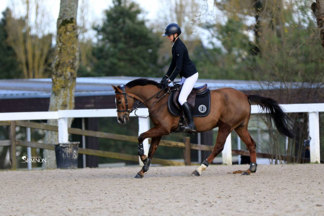 Ponette PFS pour As Elite