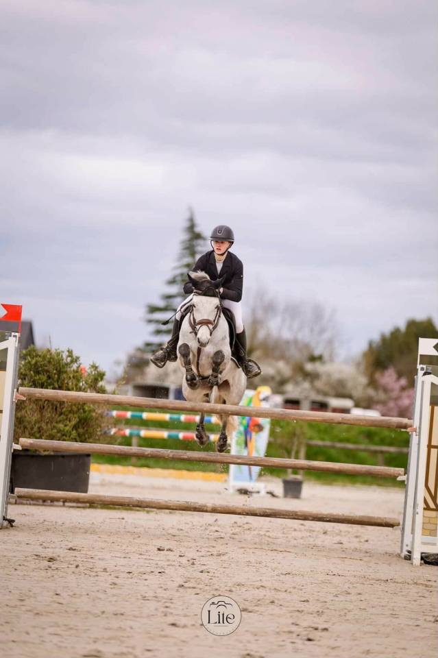 Ponette Connemara pour GP