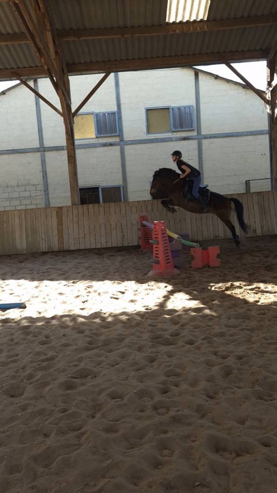 Ponette 6 ans crois&eacute;e welsh