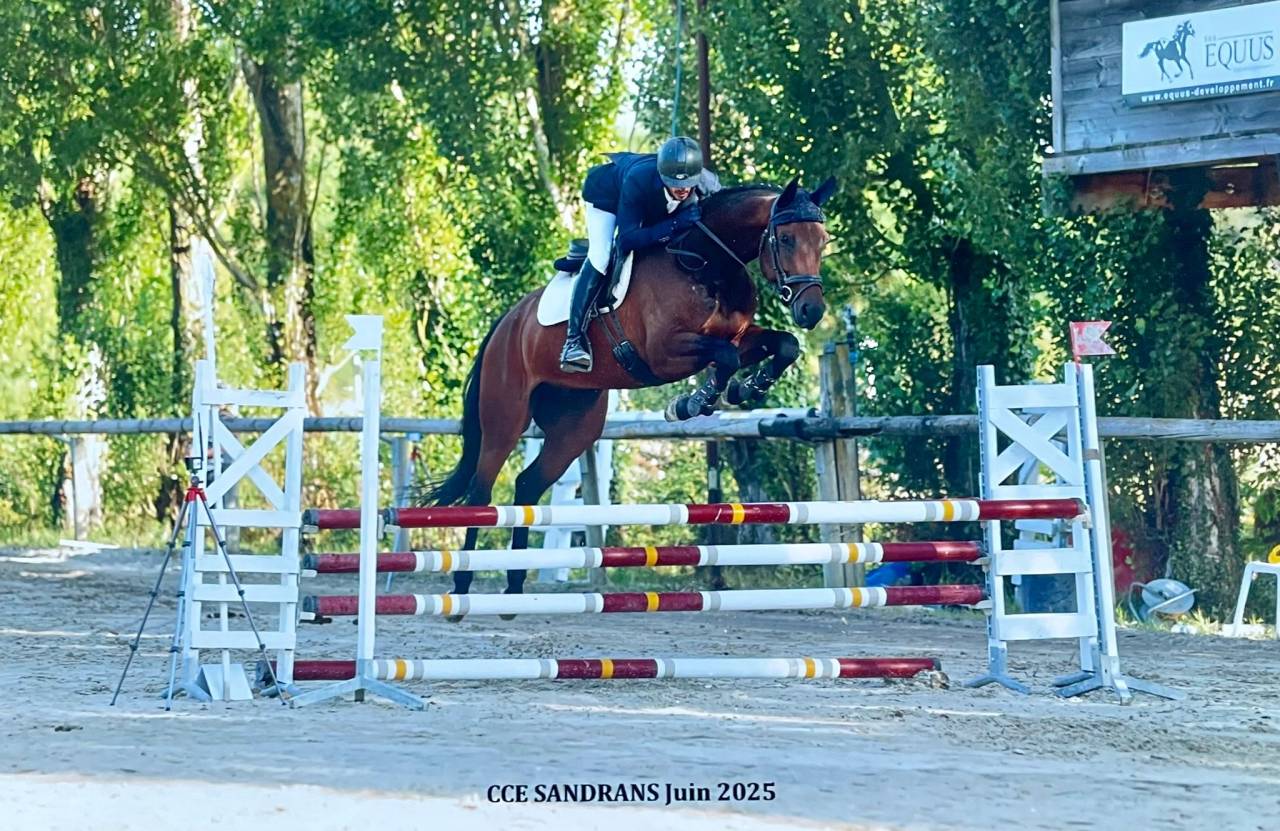 Poulain 2026 par Contendro 