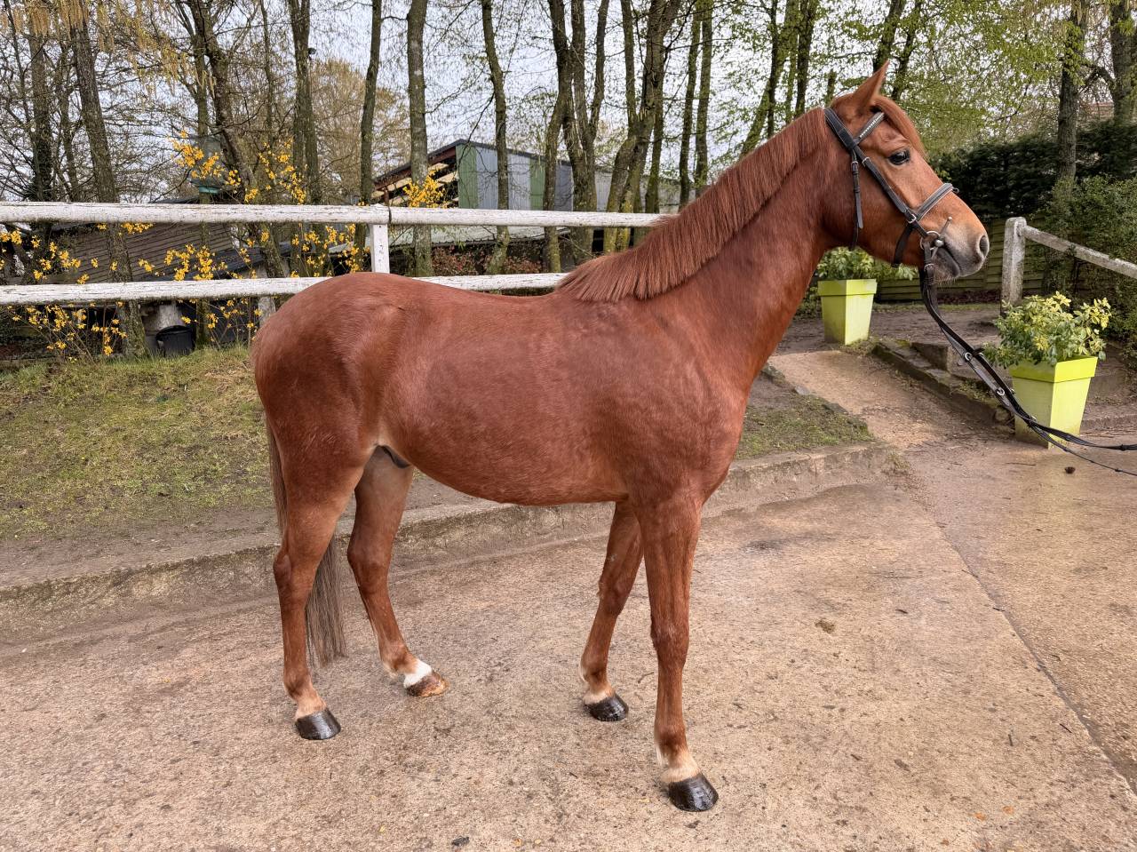 &Agrave; VENDRE 