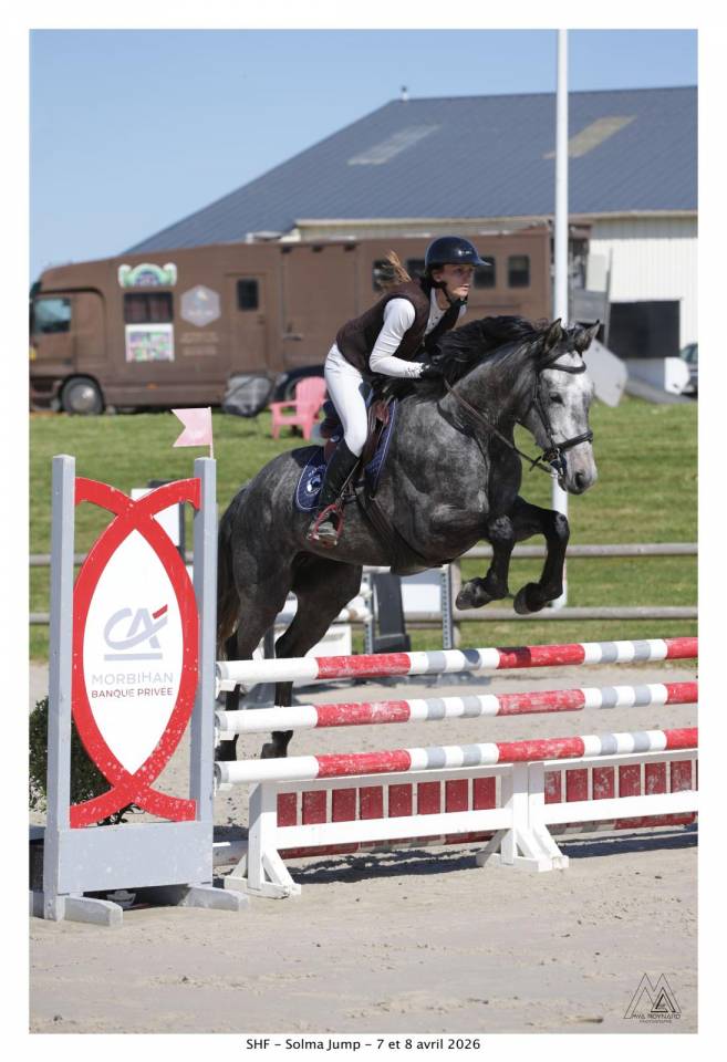 HONGRE 4 ans, super potentiel AMATEUR