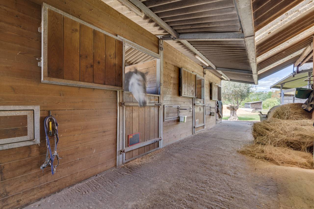 A VENDRE Propri&eacute;t&eacute; &eacute;questre  avec habitation