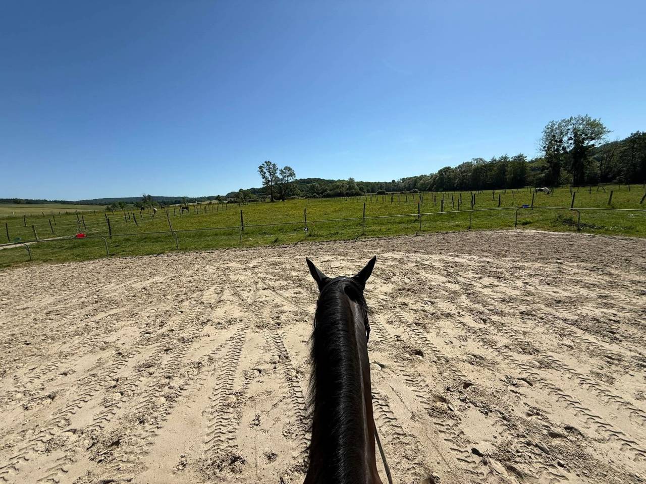 Pension chevaux 