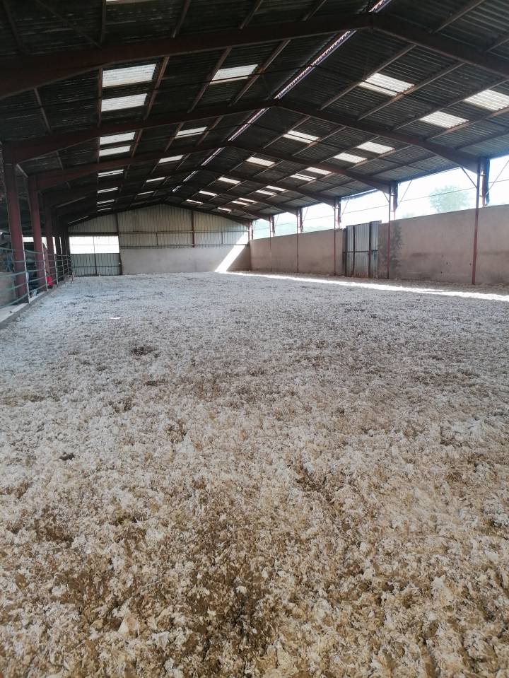 Pension chevaux 