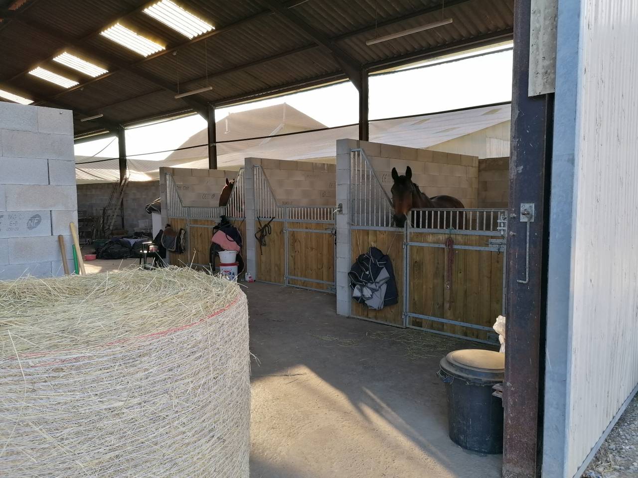 Pension chevaux 