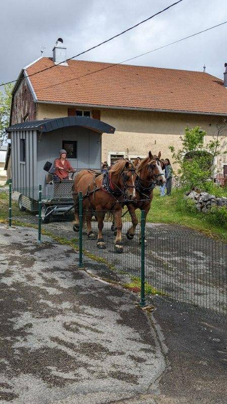 Service civique groom de roulotte et animateur.trice na
