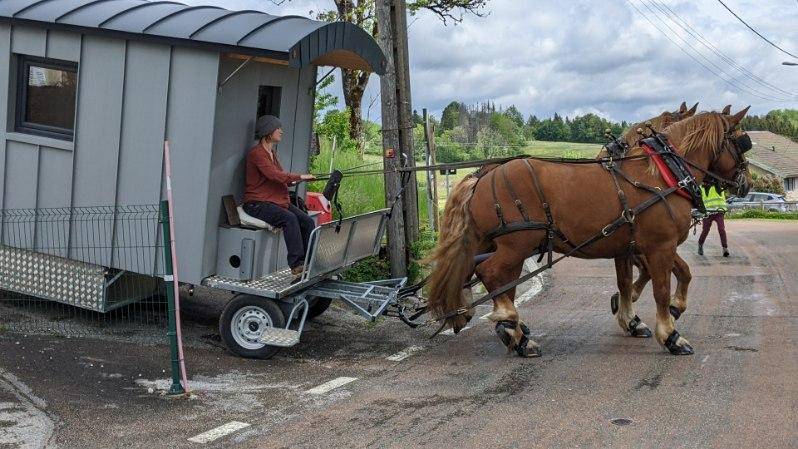 Service civique groom de roulotte et animateur.trice na