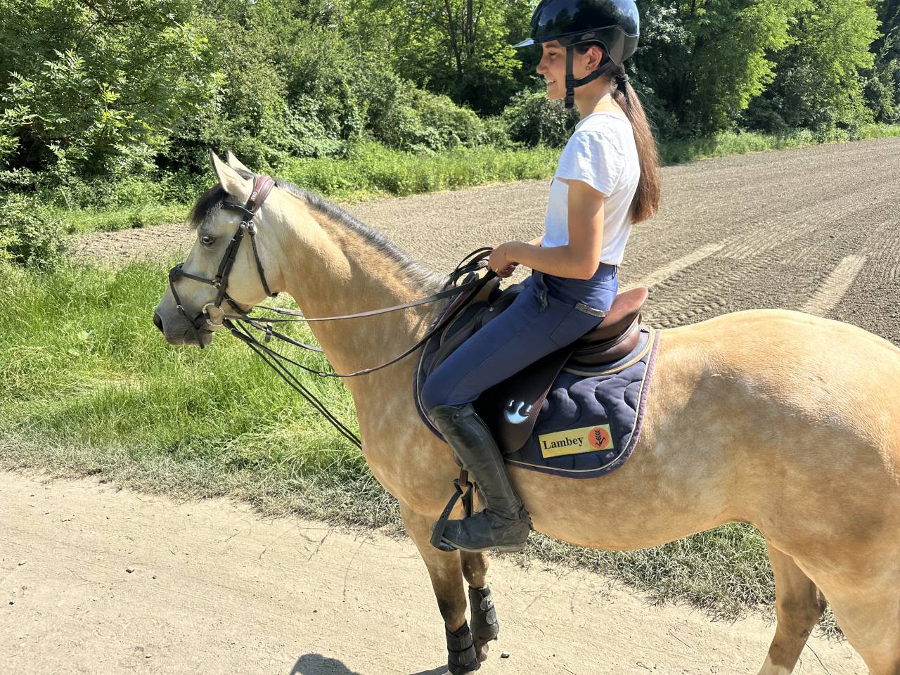 Ponette de loisir &Agrave; VENDRE 