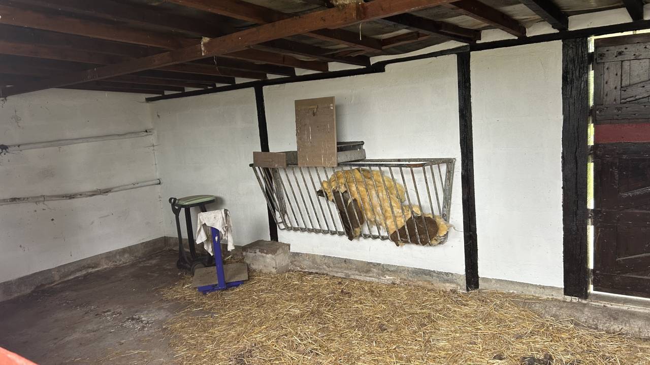 Pension de chevaux du chateaux 76279 Neuville-Ferri&egrave;res