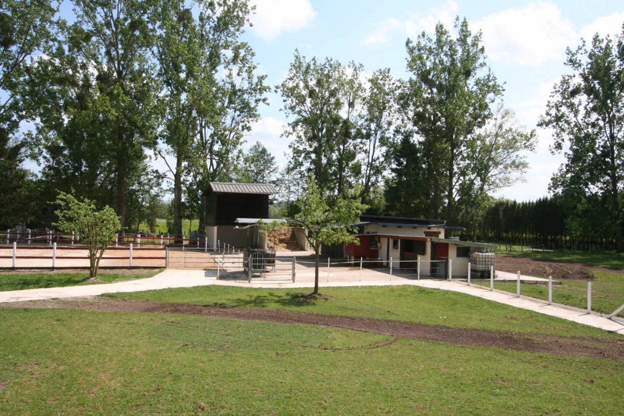 Pension de chevaux du chateaux 76279 Neuville-Ferri&egrave;res