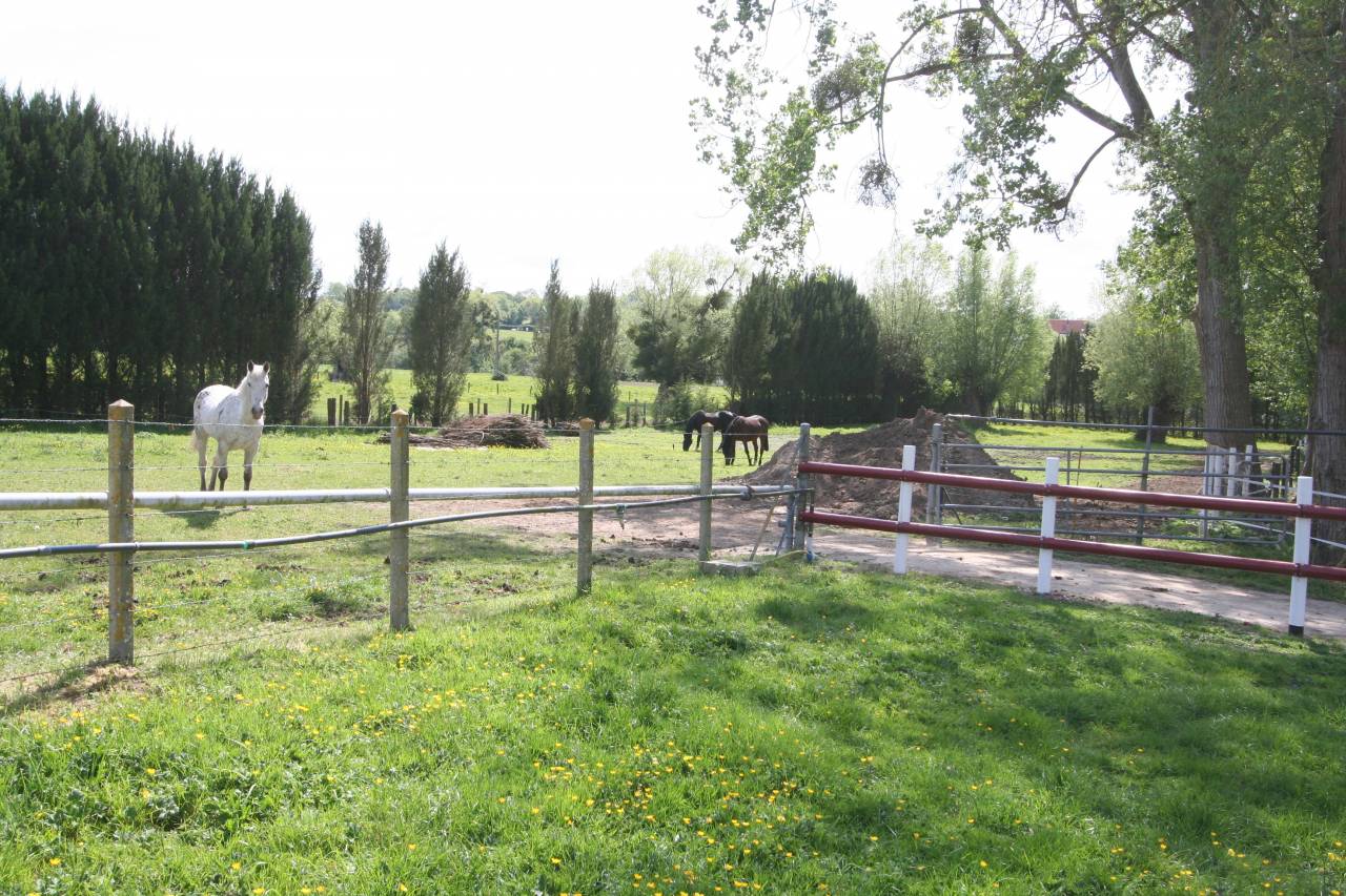 Pension de chevaux du chateaux 76279 Neuville-Ferri&egrave;res