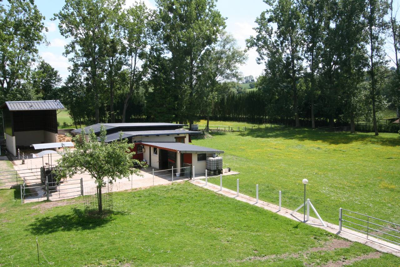 Pension de chevaux du chateaux 76279 Neuville-Ferri&egrave;res