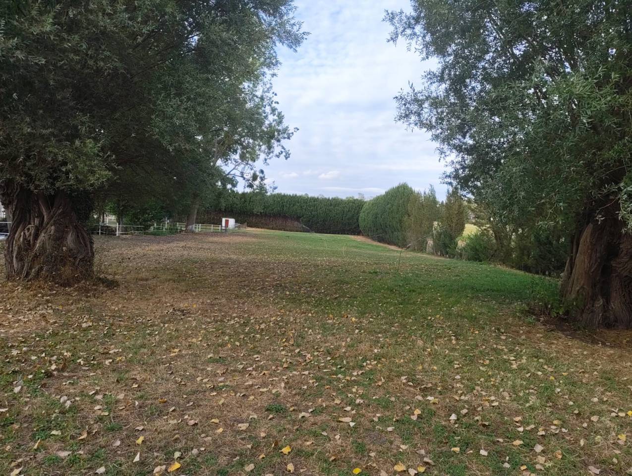 Pension de chevaux du chateaux 76279 Neuville-Ferri&egrave;res