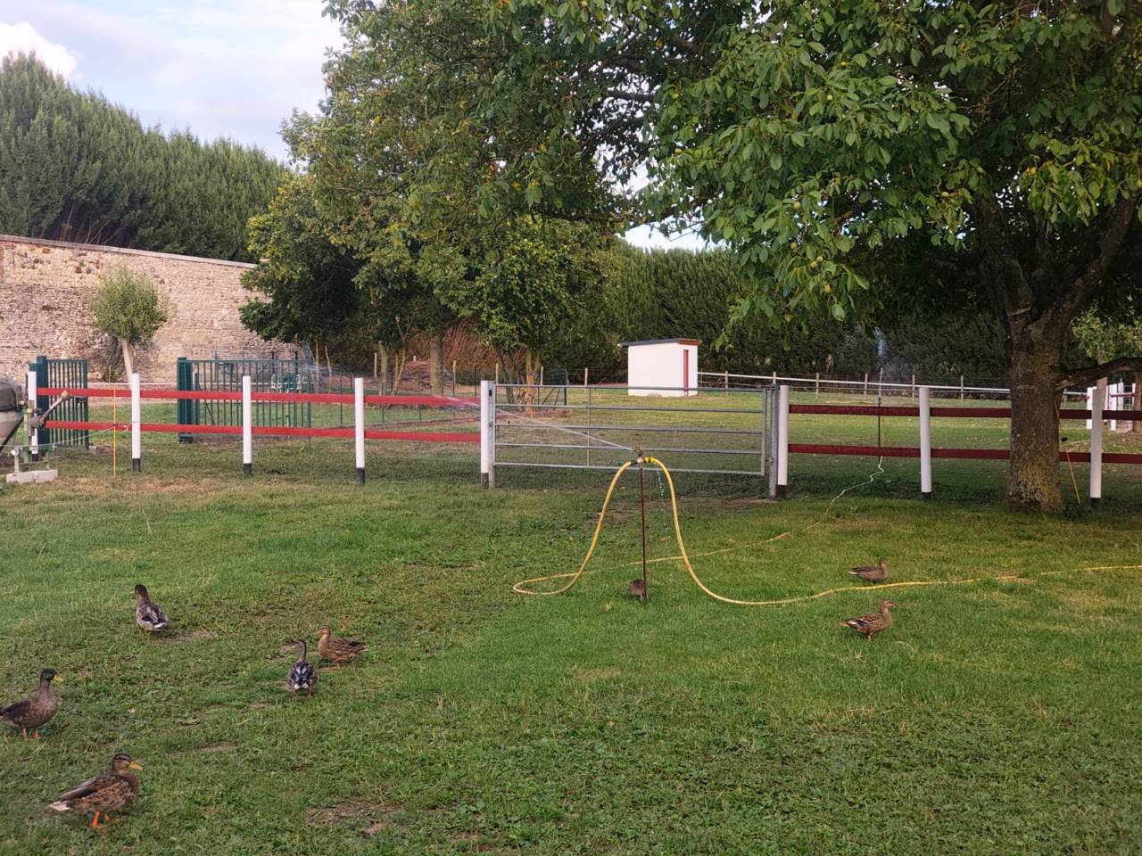 Pension de chevaux du chateaux 76279 Neuville-Ferri&egrave;res