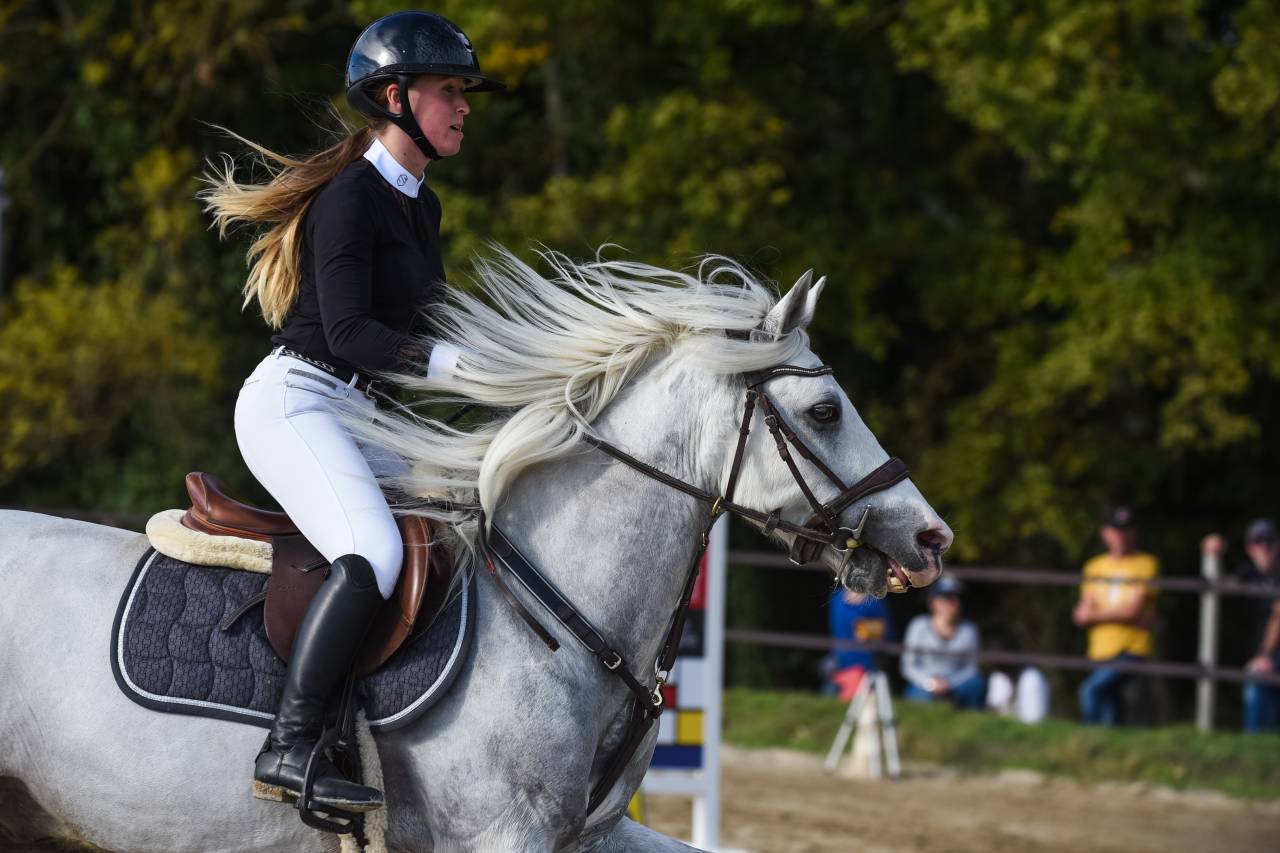 Poney de sport Connemara