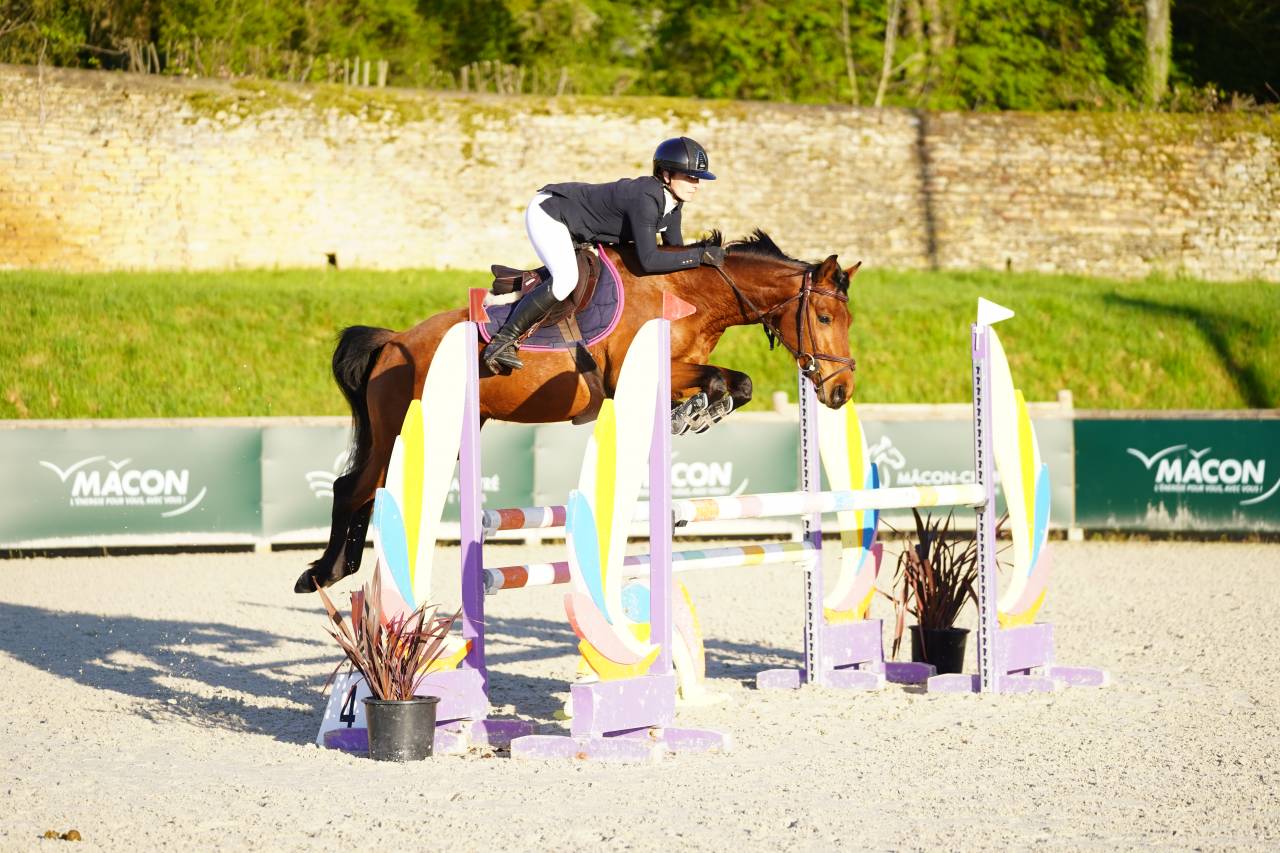 Top jument 5 ans pour cavalier amateur