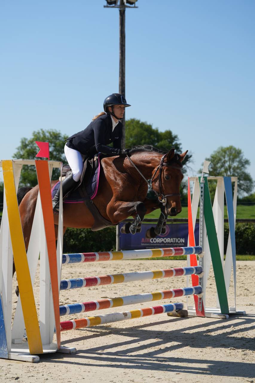 Top jument 5 ans pour cavalier amateur