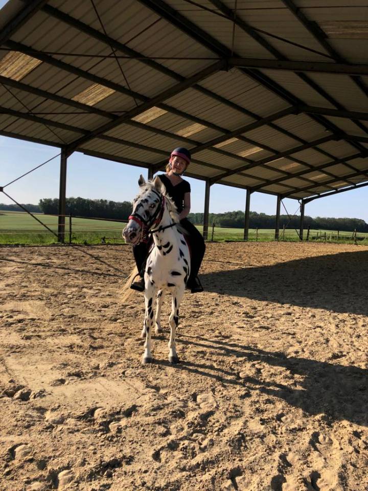 Appaloosa black l&eacute;opard de 6 ans