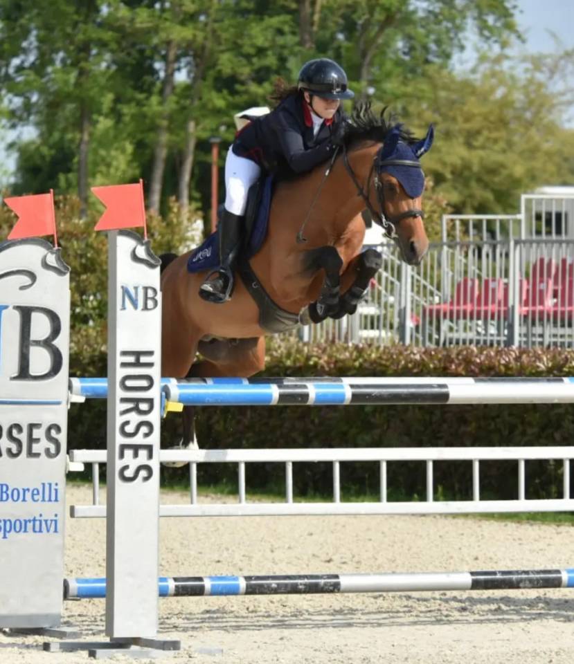 Excellent poney &Agrave; VENDRE 