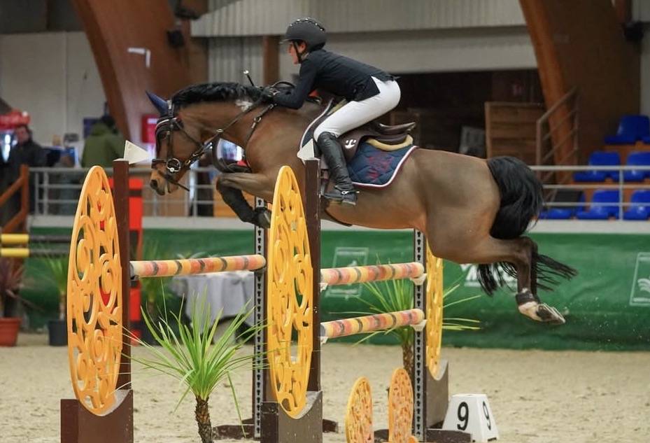 Excellent poney &Agrave; VENDRE 