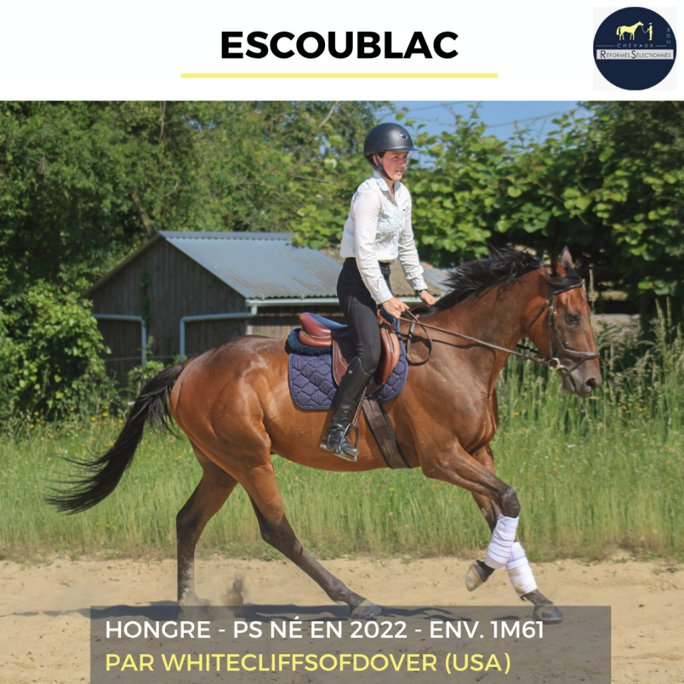 ESCOUBLAC - PS - 4 ANS