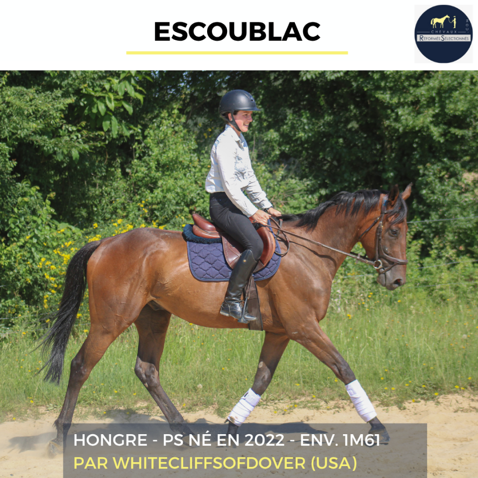 ESCOUBLAC - PS - 4 ANS