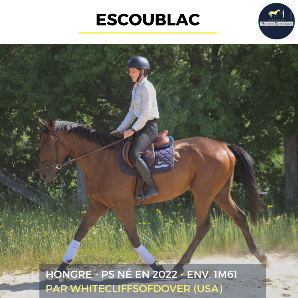 ESCOUBLAC - PS - 4 ANS