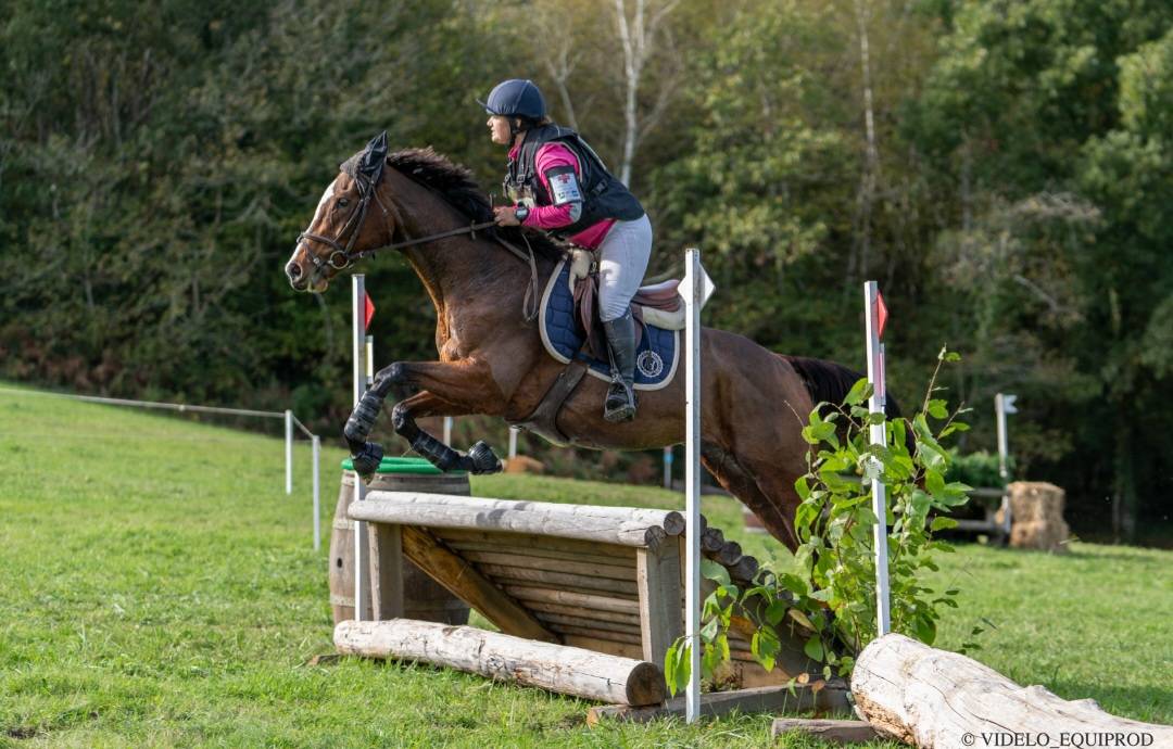 Jument AA 8ANS polyvalente 