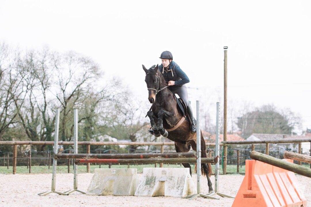 CHEVAL DE SELLE OC