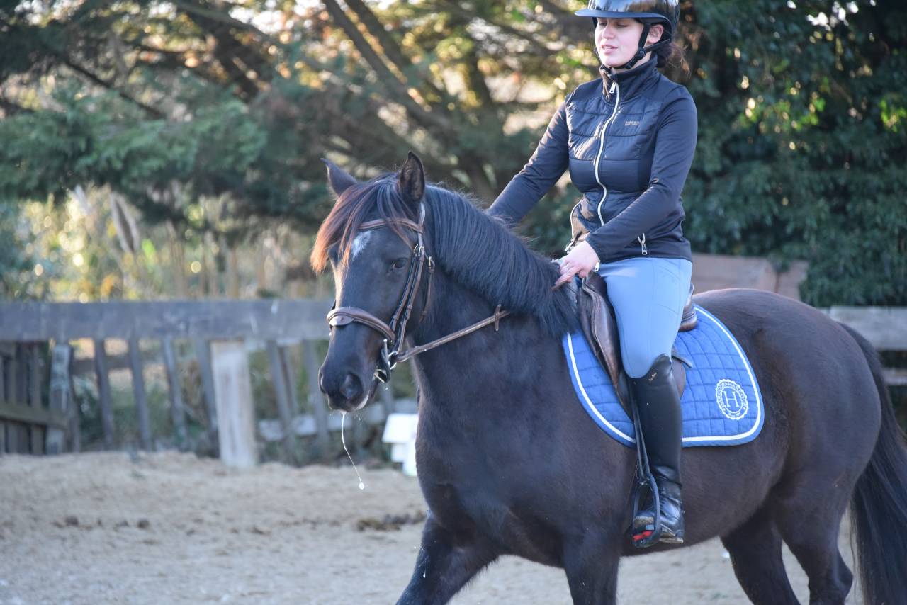 Poney D de sport 