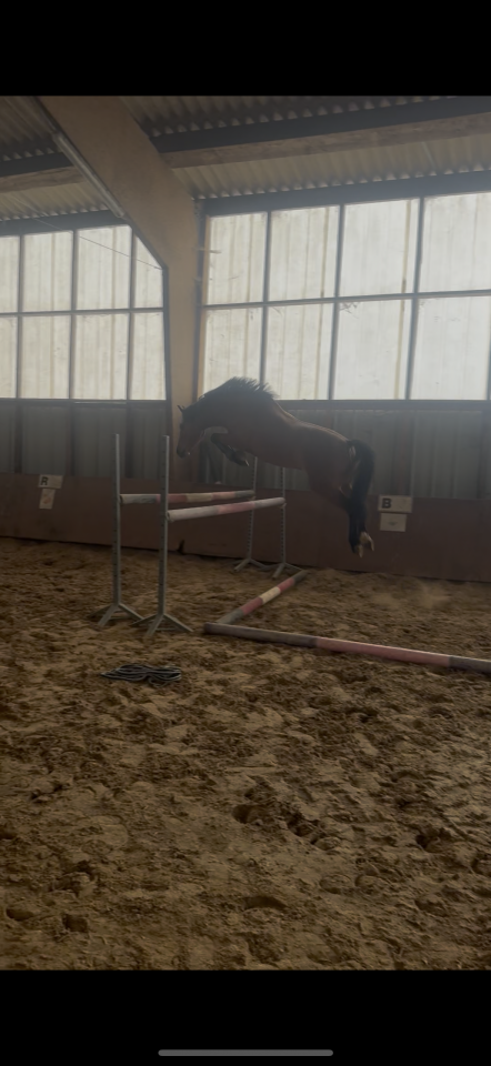 PFS de 4 ans par verry star 