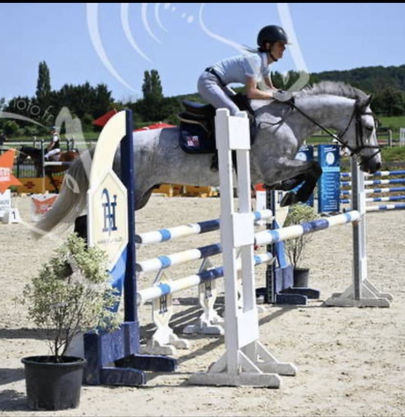 &Agrave; vendre poney de sport