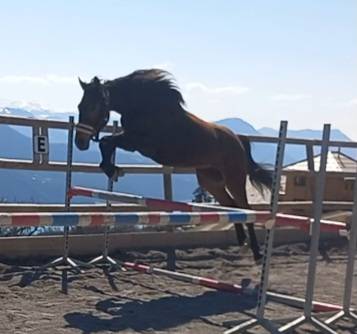 Ponette PFS 2ans 
