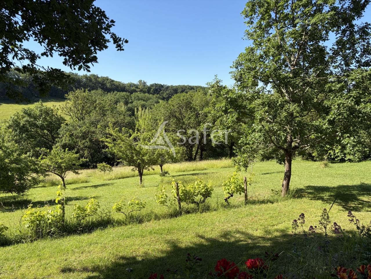 Belle propri&eacute;t&eacute; agricole BIO avec 3 maisons en pierre en tr&egrave;s