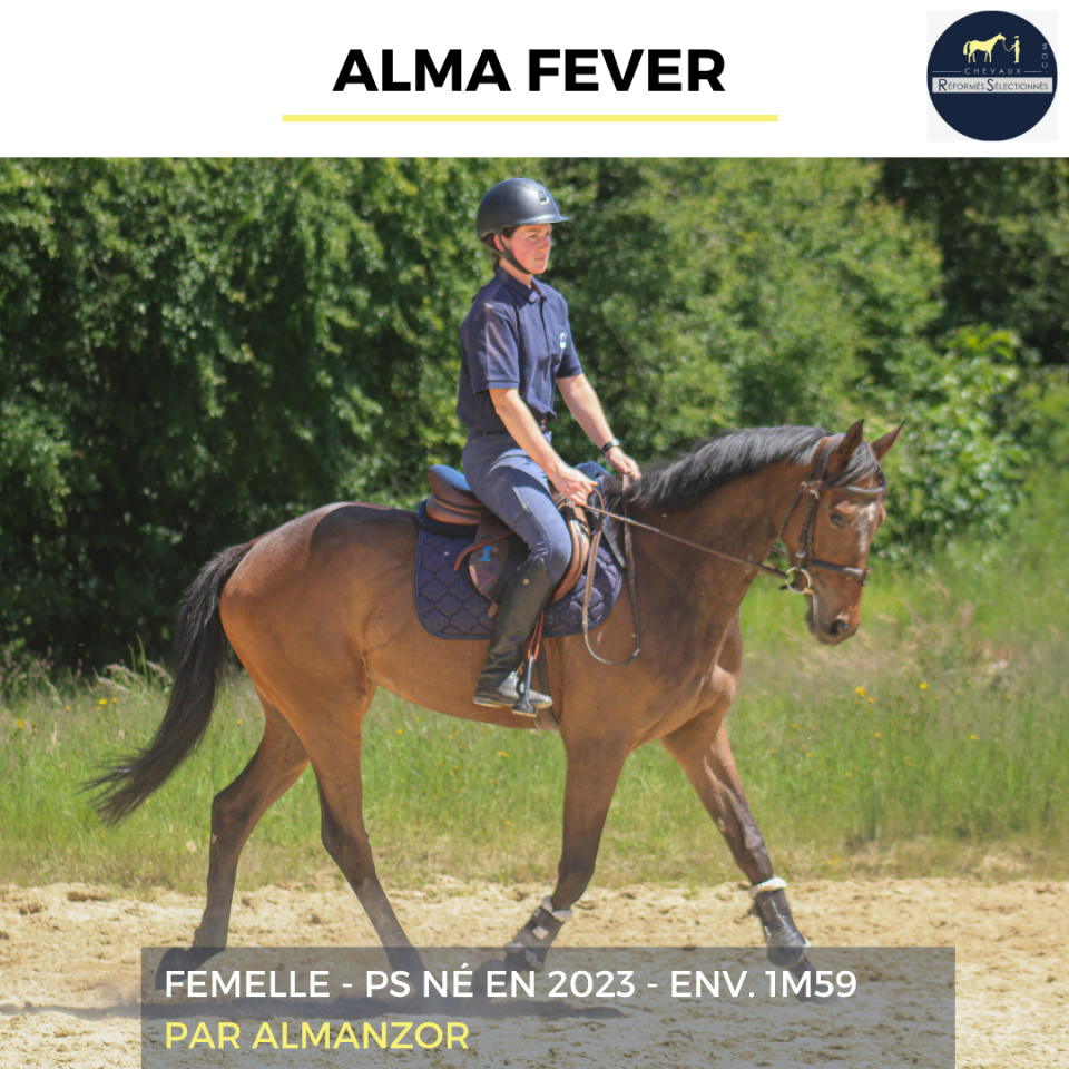 ALMA FEVER - PS - 3 ANS 