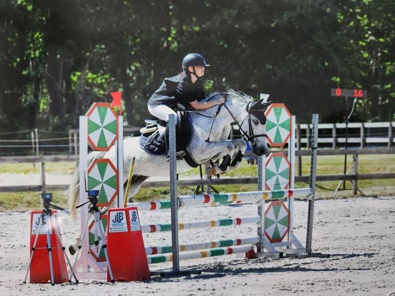 PONEY ONC IDEAL PONY GAME 10 ANS