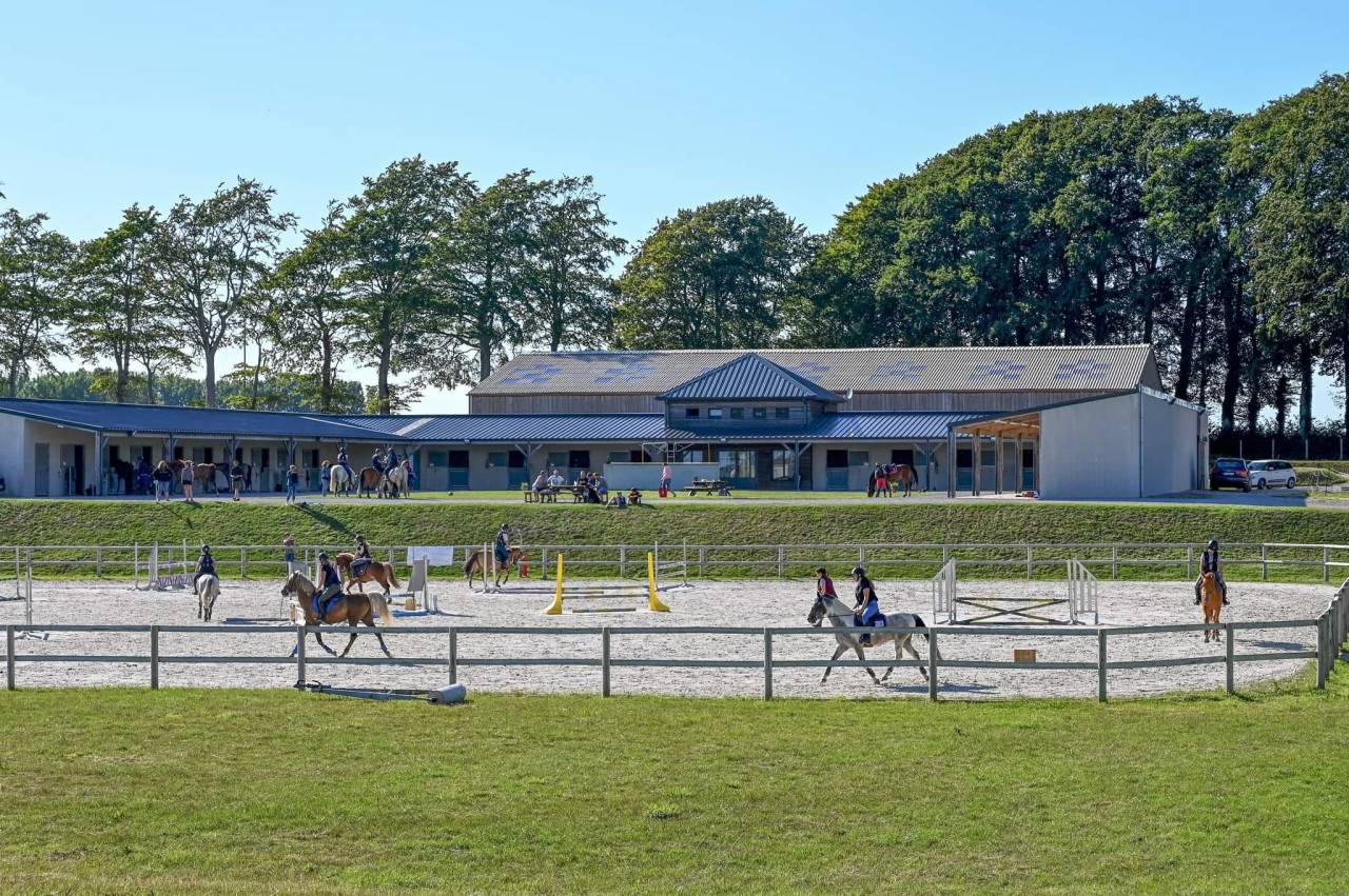 pension cheval et poney