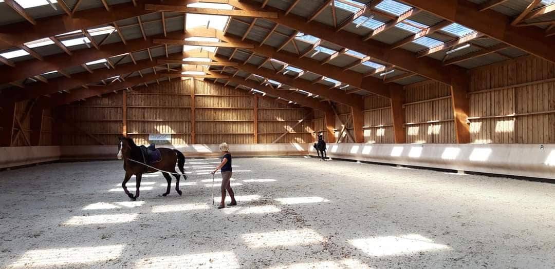 pension cheval et poney