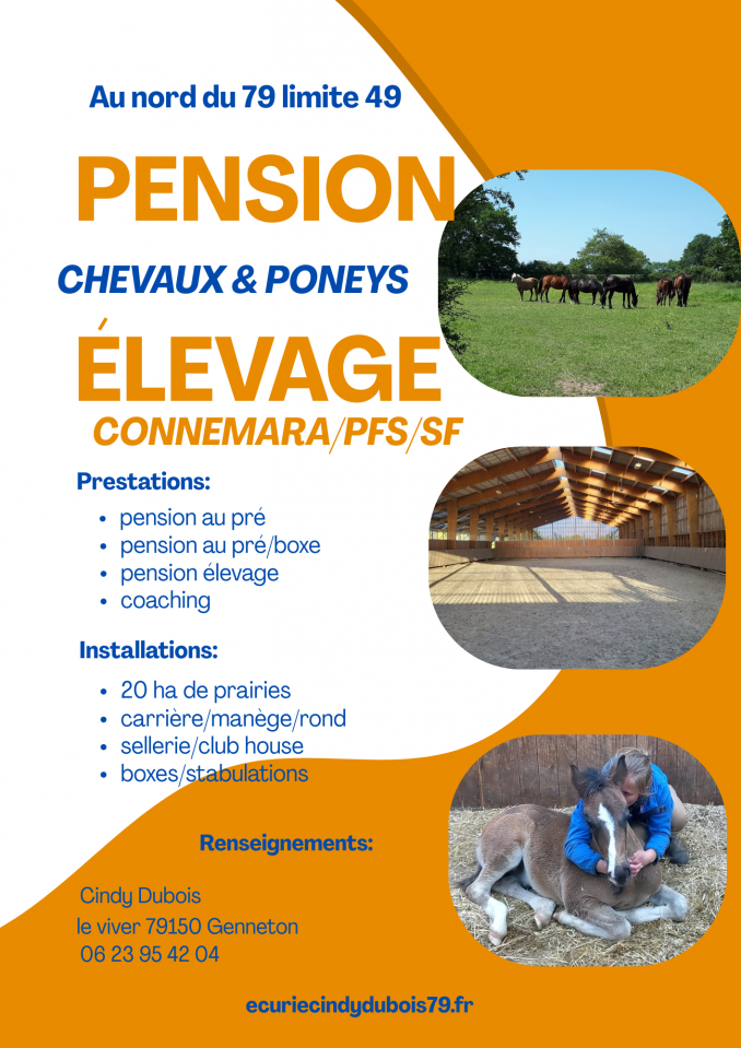Pension &agrave; l'herbe avec carri&egrave;re, man&egrave;ge, rond...
