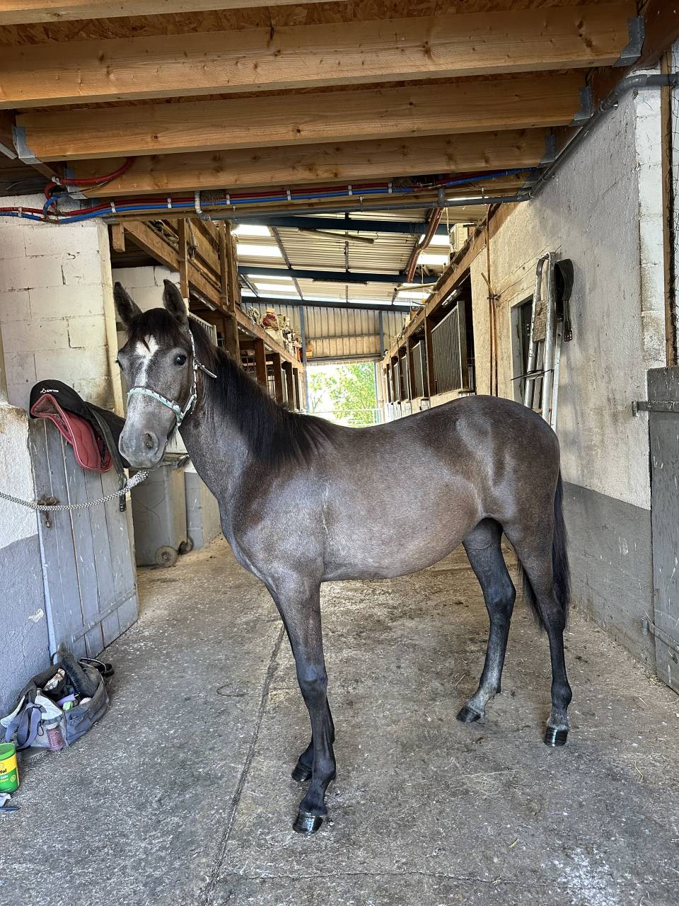 &Agrave; vendre -? MALISTA D&rsquo;HIRLA?