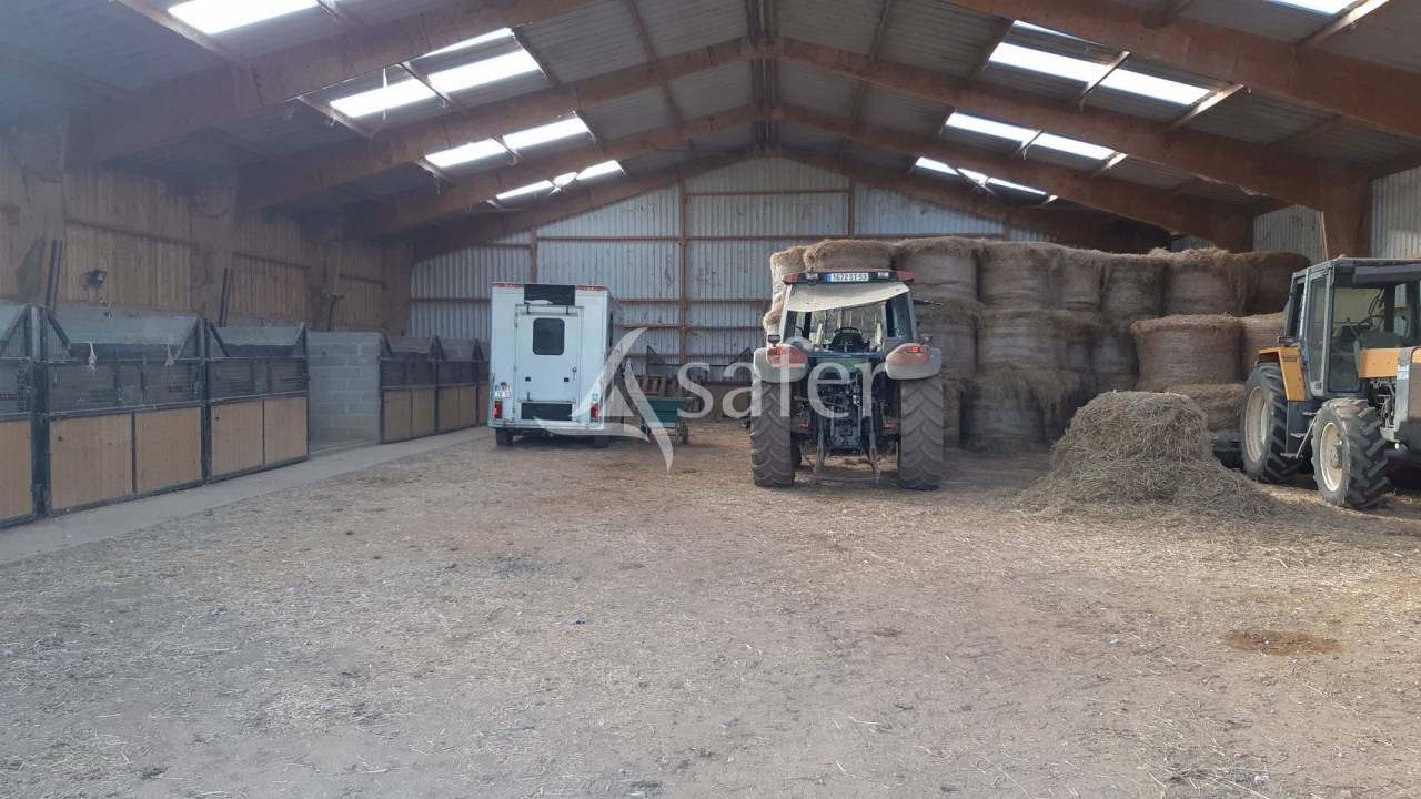 1005139_1780108260_0856.jpg