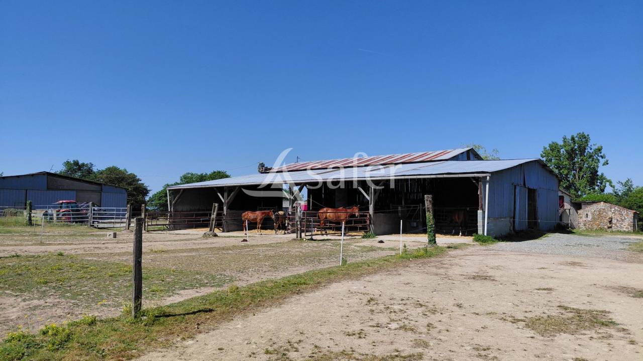 Propri&eacute;t&eacute; &eacute;questre sur environ 32 ha.